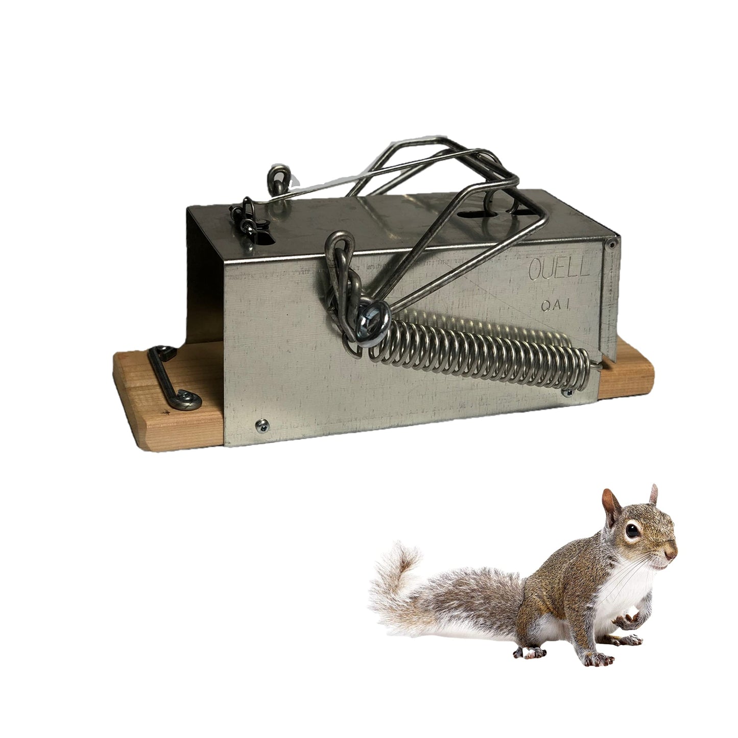 Squirrel Traps Outdoor - Squirrel Traps - Ouell Traps - Trap for Squirrels (Small)