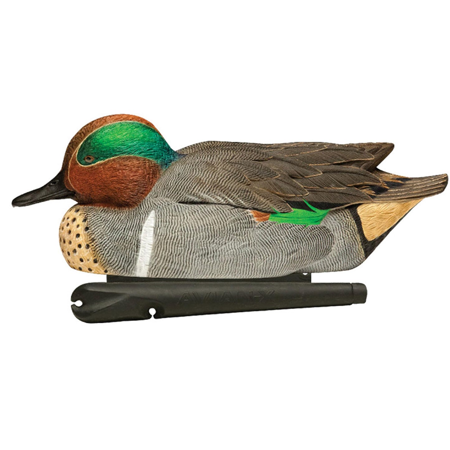 Avian X Topflight Green-Winged Teal Decoys, Realistic Floating Duck Decoys for Hunting, Weight-Forward Swim Keel