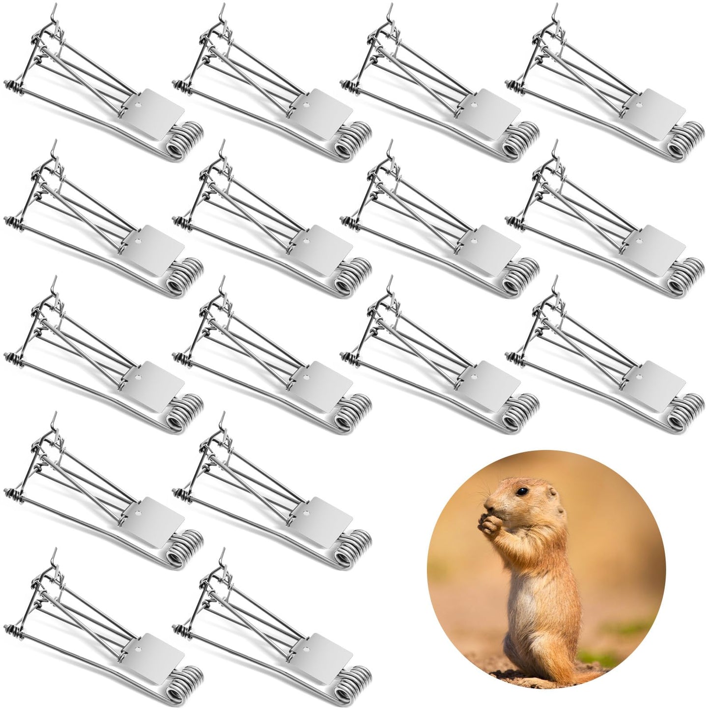 Qualirey 2 Pcs Outdoor Gopher Trap Easy Set Mole Trap Weather Resistant Gopher Killer Vole Killer for Lawn Garden Farm (Black)