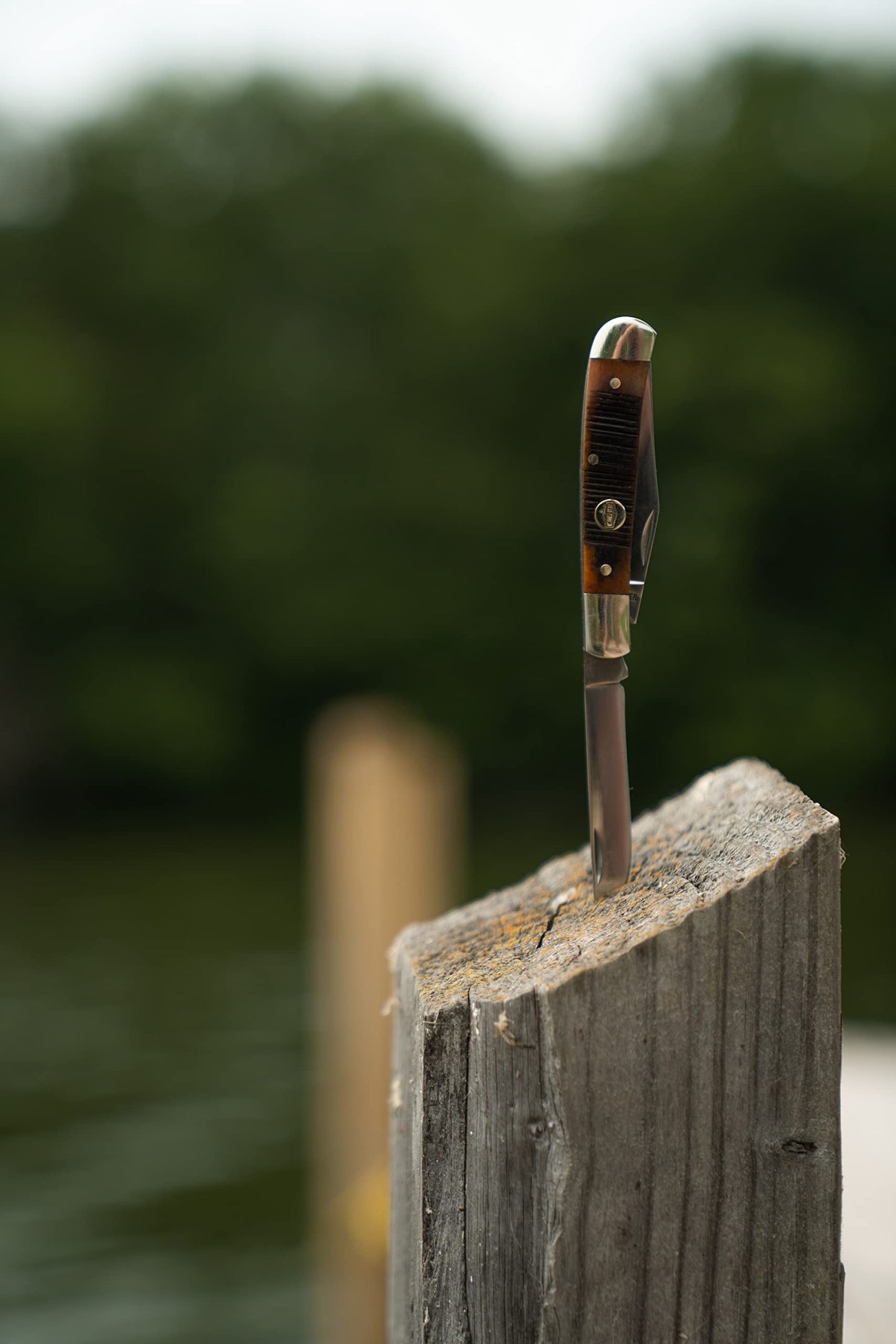 Old Timer Generational USA Series Traditional Fixed and Folding Knives with 1095 HC Stainless Steel Blades, Sawcut Bone Handles, and Made in USA for Hunting, Skinning, EDC, Field Dressing, and Outdoor