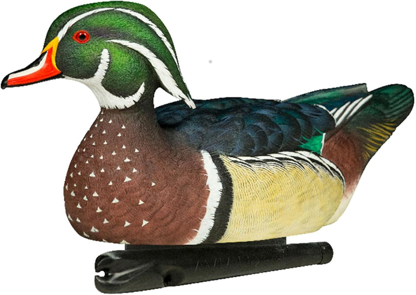 Avian X Topflight Pintail Decoys, Rugged Realistic Floating Duck Decoys for Hunting, Weight-Forward Swim Keel