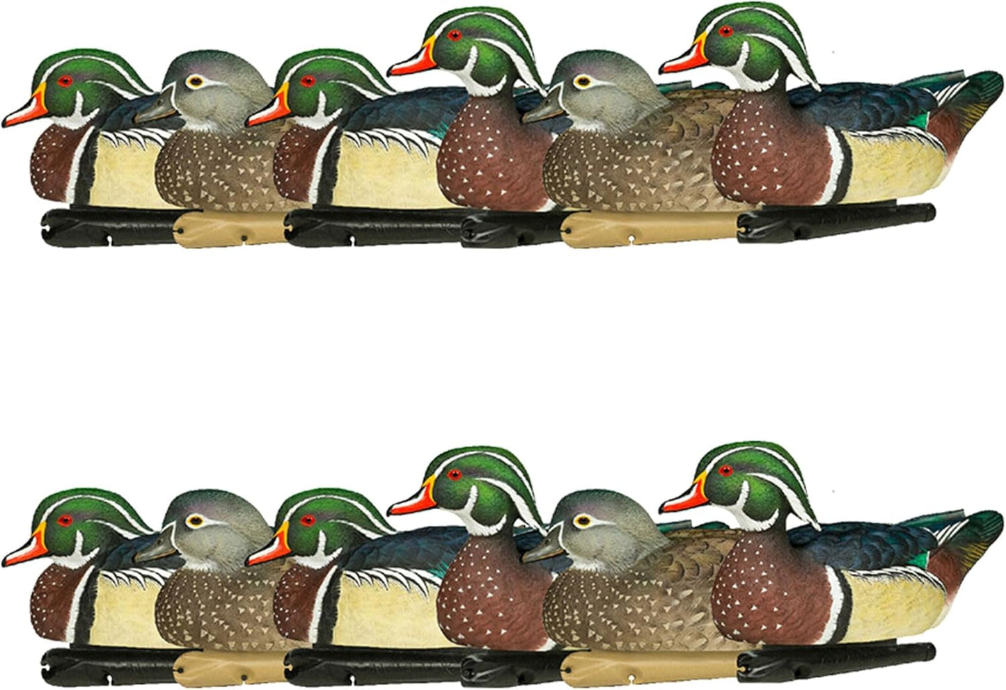 Avian X Topflight Pintail Decoys, Rugged Realistic Floating Duck Decoys for Hunting, Weight-Forward Swim Keel