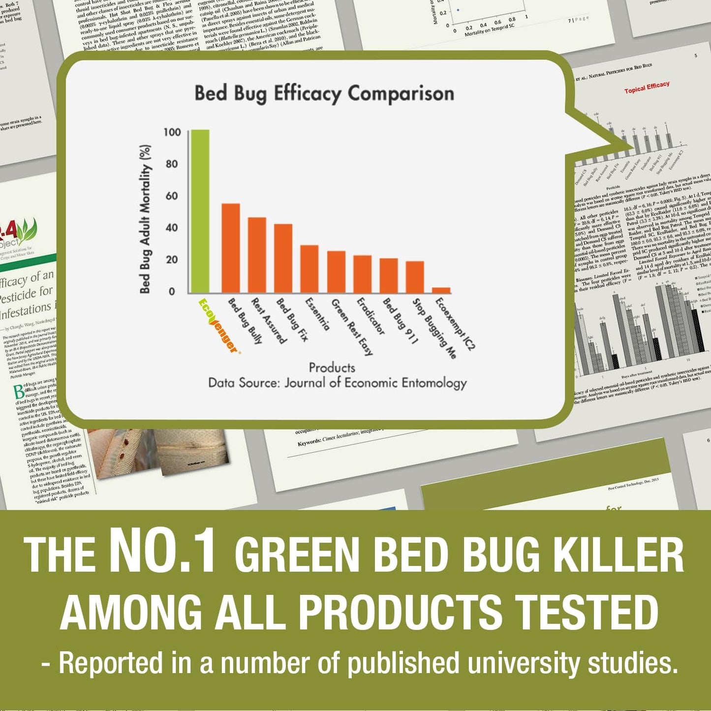 Bed Bug Killer 16 oz EcoVenger by EcoRaider, 100% Kill Efficacy, Bedbugs & Mites, Kills Eggs & The Resistant, Lasting Protection, USDA BIO-Certified, Plant Extract Based & Non-Toxic, Child & Pet Safe
