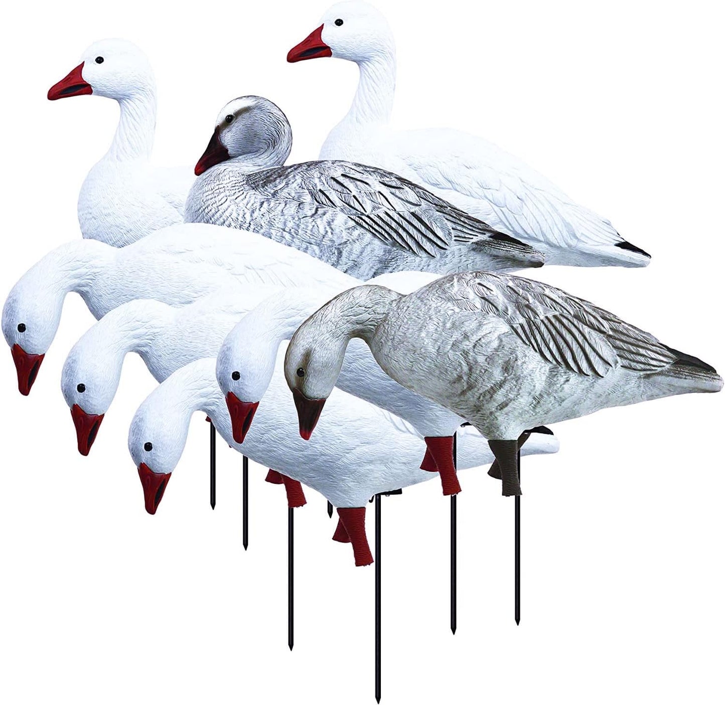 Higdon Outdoors APEX Full-Size Full-Body Variety Pack | Snow/Juvenile Goose Decoy for Waterfowl Hunting 8pk