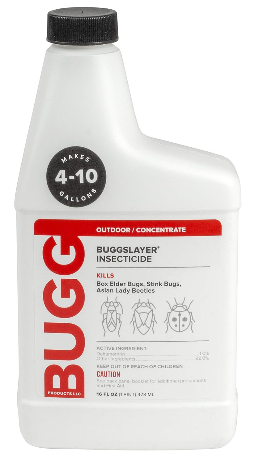 Bugg Insecticide - Concentrate - Outdoor Box Elder Bugs, Stink Bugs, Asian Lady Beetles - 16 oz Bottle