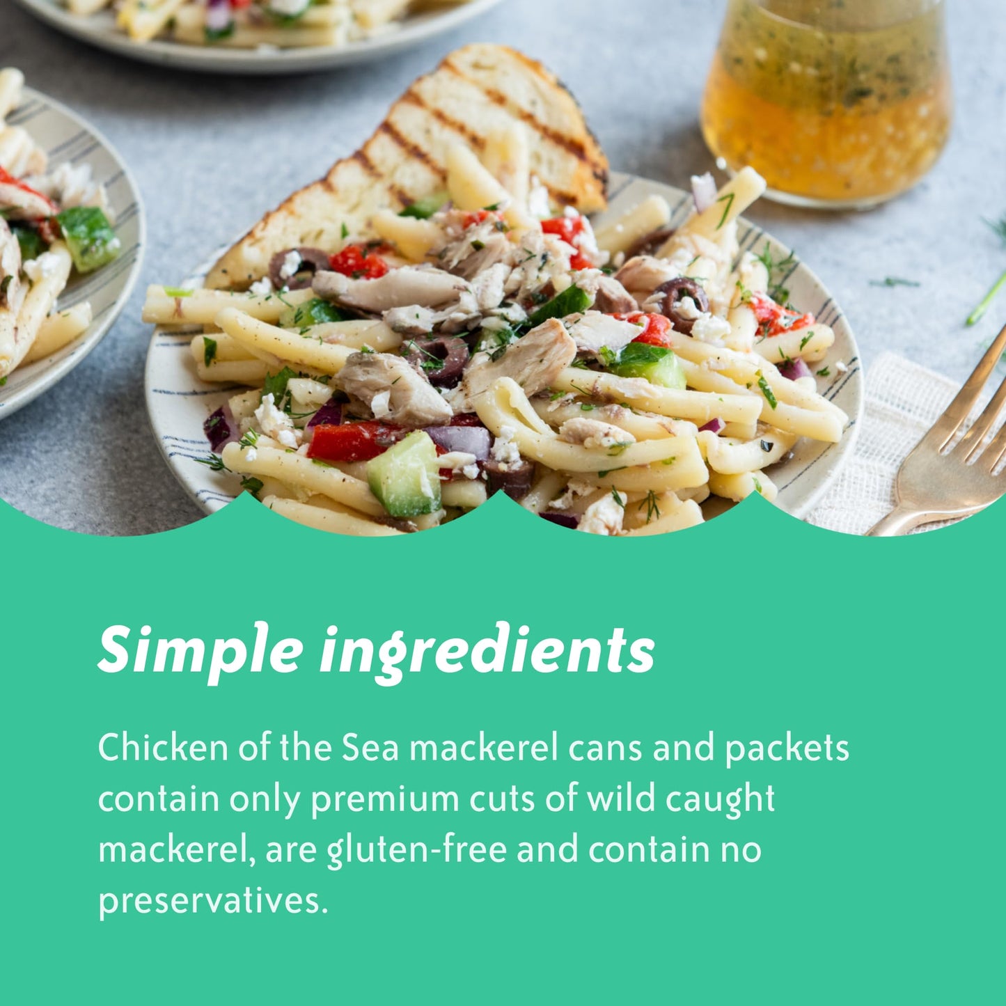 Chicken of the Sea Chub Mackerel in Brine, 15 Ounce Cans (Pack of 12), Nutrient Rich, Wild Caught Canned Mackerel