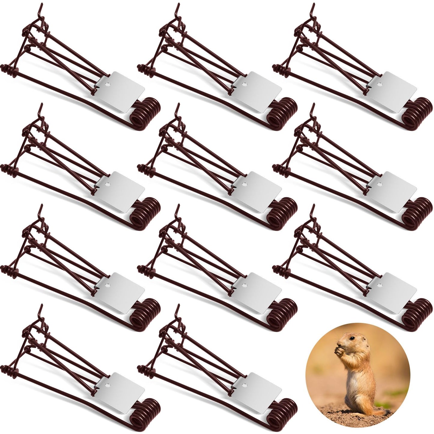 Qualirey 2 Pcs Outdoor Gopher Trap Easy Set Mole Trap Weather Resistant Gopher Killer Vole Killer for Lawn Garden Farm (Black)