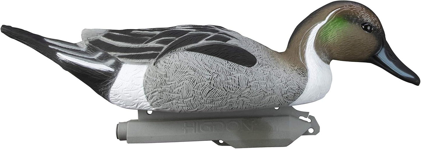 Higdon Outdoors Standard Pintail Duck Decoys, Foam-Filled