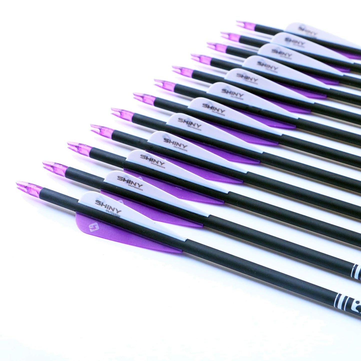 30Inch Carbon Arrow Practice Hunting Arrows with Removable Tips for Compound & Recurve Bow(Pack of 12)