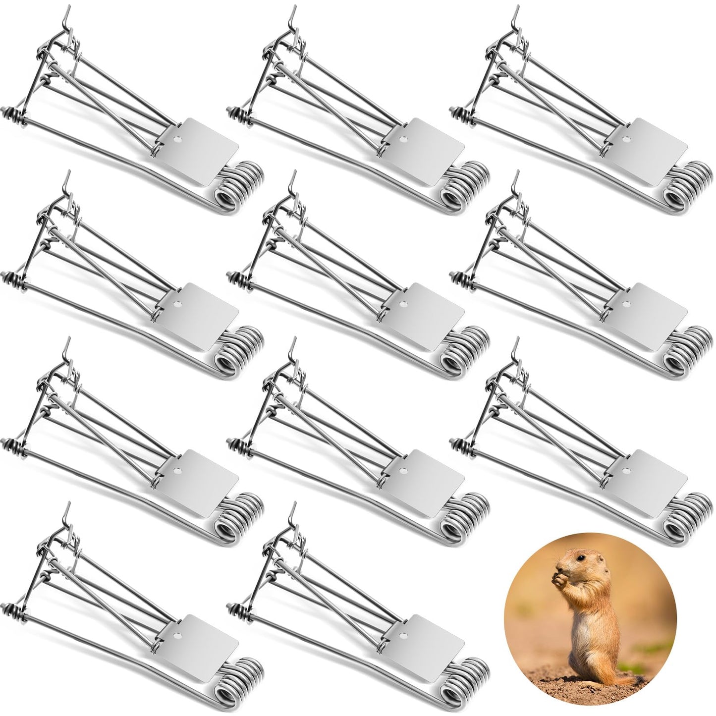 Qualirey 2 Pcs Outdoor Gopher Trap Easy Set Mole Trap Weather Resistant Gopher Killer Vole Killer for Lawn Garden Farm (Black)