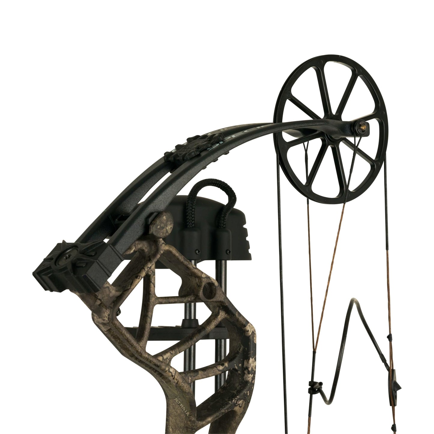 Bear Archery Species EV Ready to Hunt Adult Compound Bow Package, 23.5”- 30.5” Draw Length, 55-70 and 45-60 Lbs Draw Weight, Up to 320 FPS, Made in USA, Limited Life-Time Warranty