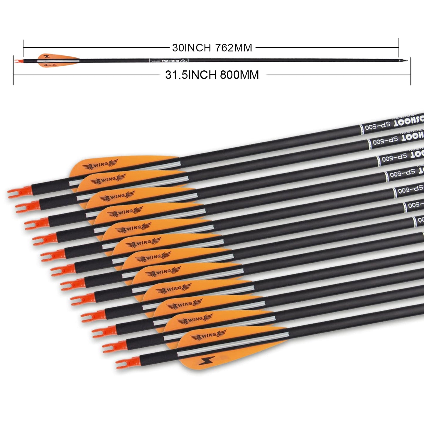 31inch Carbon Arrow Archery Targeting Practice Hunting Arrows for Compound & Recurve Bow with Removable Tips(Pack of 12)