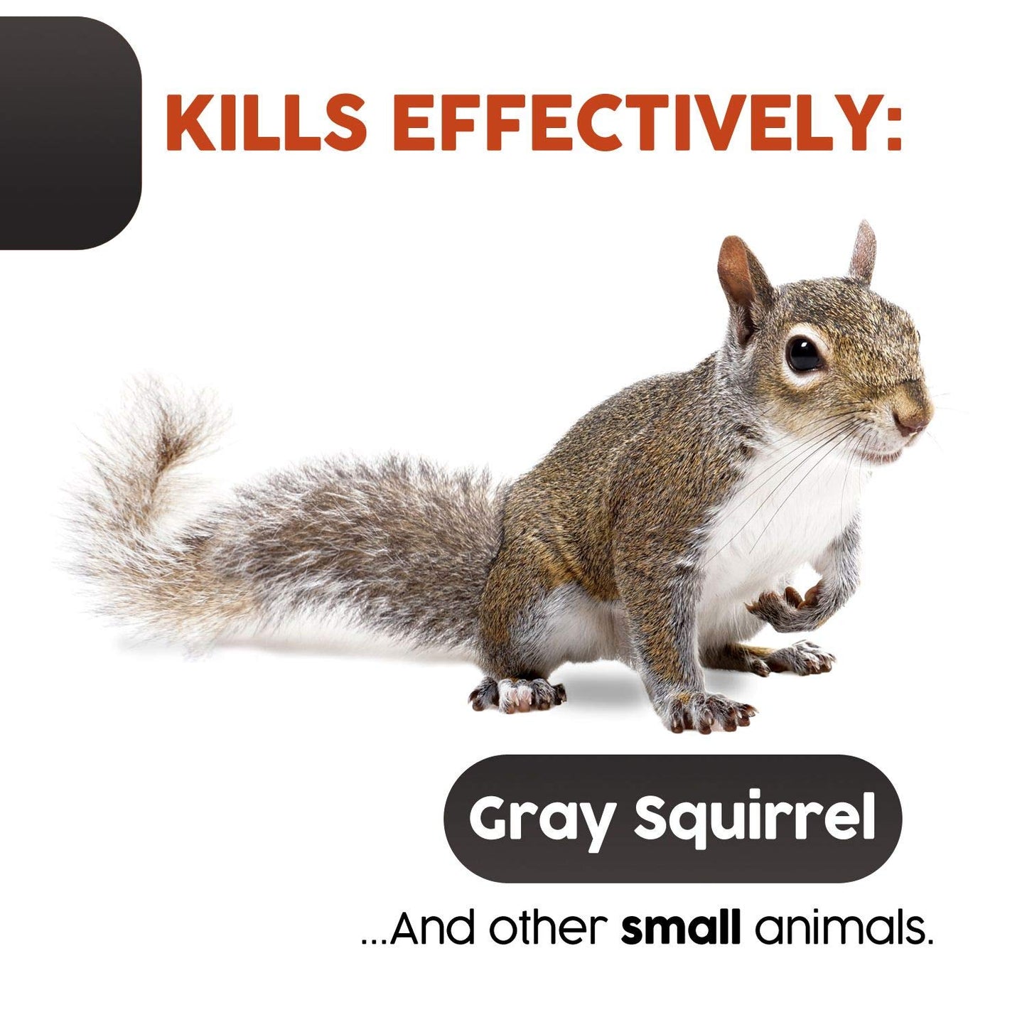 Squirrel Traps Outdoor - Squirrel Traps - Ouell Traps - Trap for Squirrels (Small)