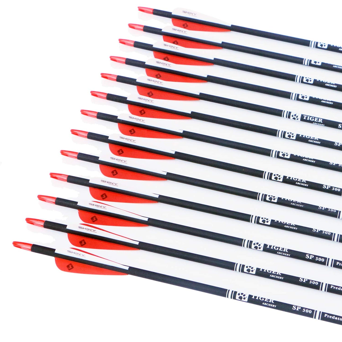 30Inch Carbon Arrow Practice Hunting Arrows with Removable Tips for Compound & Recurve Bow(Pack of 12)