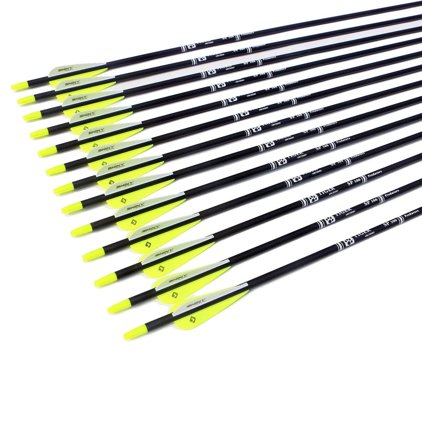30Inch Carbon Arrow Practice Hunting Arrows with Removable Tips for Compound & Recurve Bow(Pack of 12)