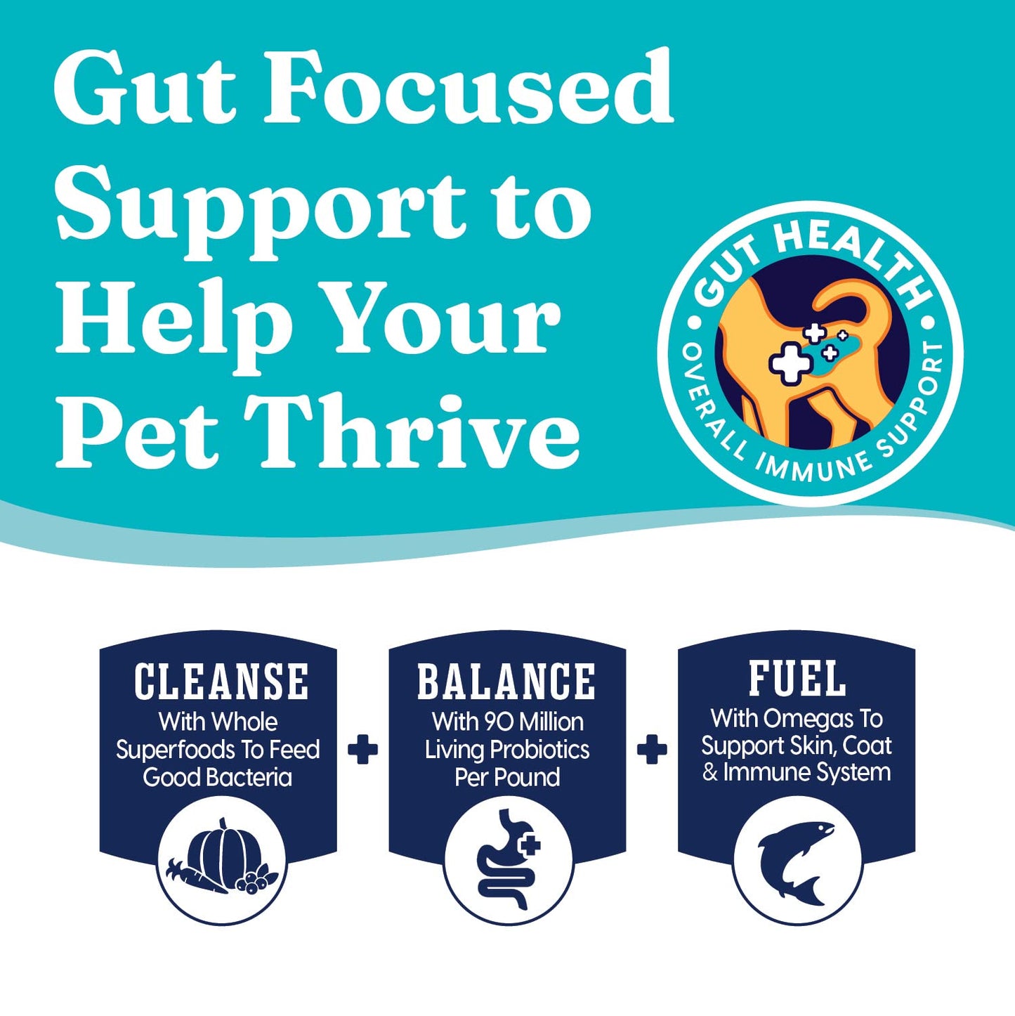 Solid Gold High Protein Dry Cat Food - Grain Free & Gluten Free Chicken Cat Dry Food w/Probiotics for Gut Health & Digestion - High Fiber & Omega 3 - Low Carb Superfood Kibble for Cats All Ages - 6LB
