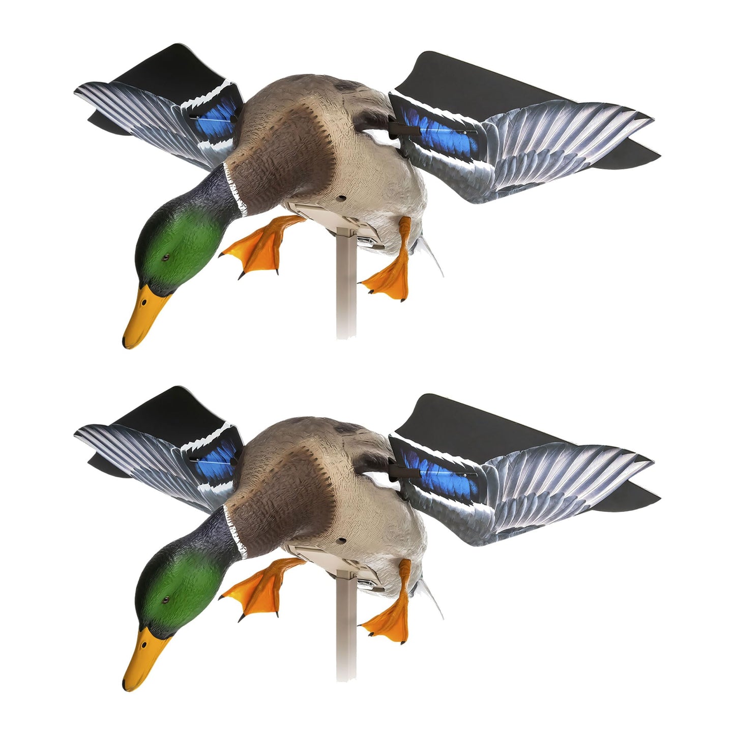 Avian X Powerflight Smart Motion Mallard Spinning Wing Realistic Design Duck Decoy, Ideal for Outdoor Hunting Adventures