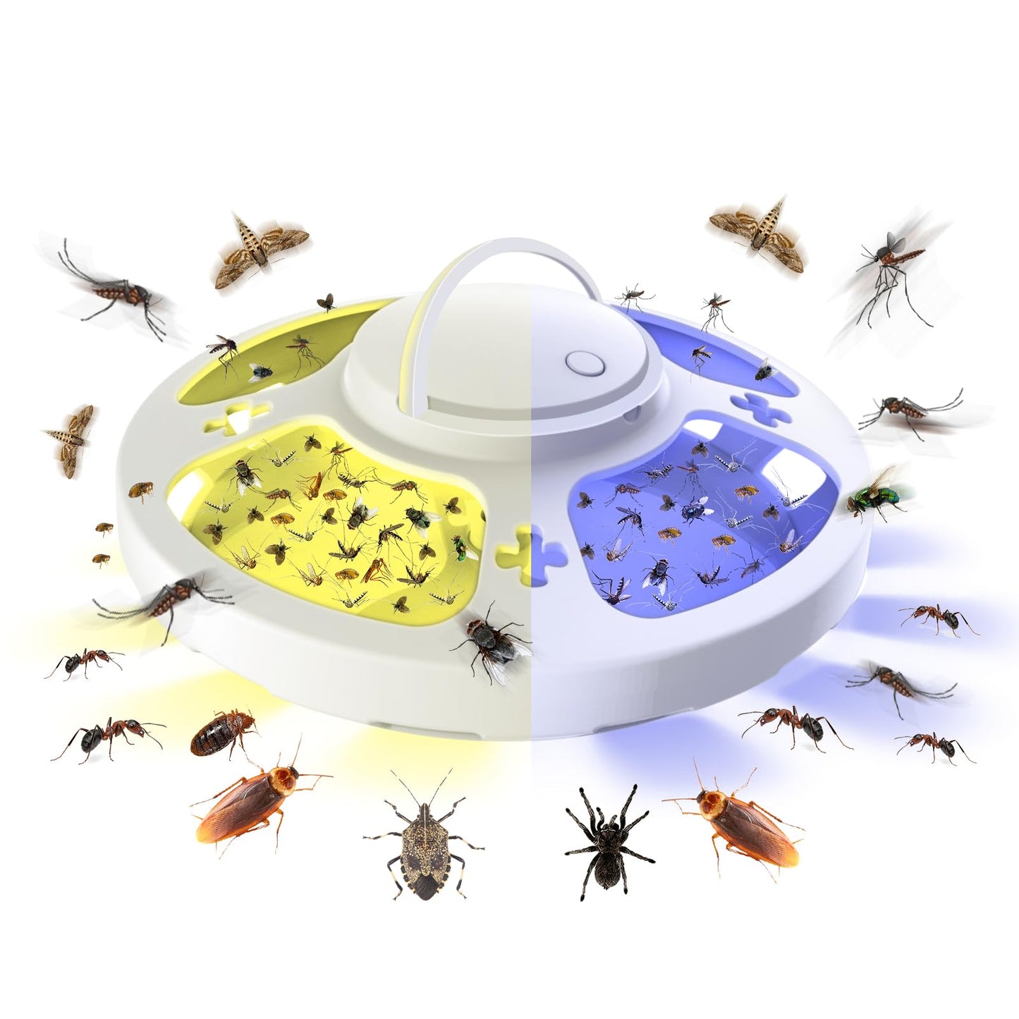 2 Packs Flea Traps for Inside Your Home with 6 Sticky Pads, Flea Light Traps Kills Fleas in House, Hanging Flea Lamp with USB Cable Pest Control for Bugs Moths Gnats Indoor and Outdoor