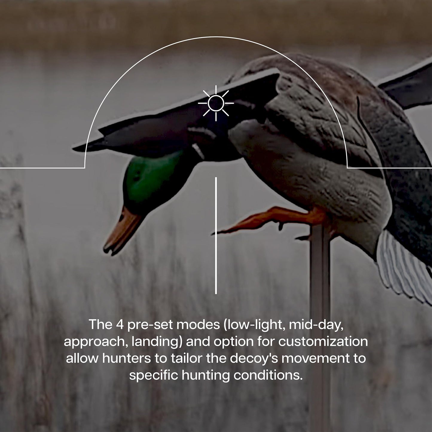 Avian X Powerflight Smart Motion Mallard Spinning Wing Realistic Design Duck Decoy, Ideal for Outdoor Hunting Adventures