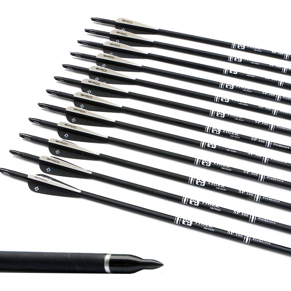 30Inch Carbon Arrow Practice Hunting Arrows with Removable Tips for Compound & Recurve Bow(Pack of 12)