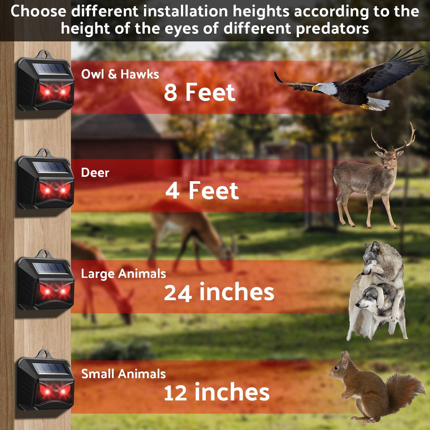 12 Pack Solar Control Light Nocturnal Animal Repeller Outdoor Deterrent Devices Light Sensor Animal Repellent for Skunk Deer Coyote Fox Raccoon Cat Garden Yard Farm Chicken Coop (Black)