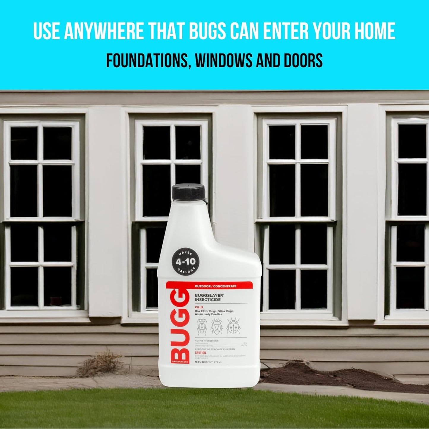 Bugg Insecticide - Concentrate - Outdoor Box Elder Bugs, Stink Bugs, Asian Lady Beetles - 16 oz Bottle