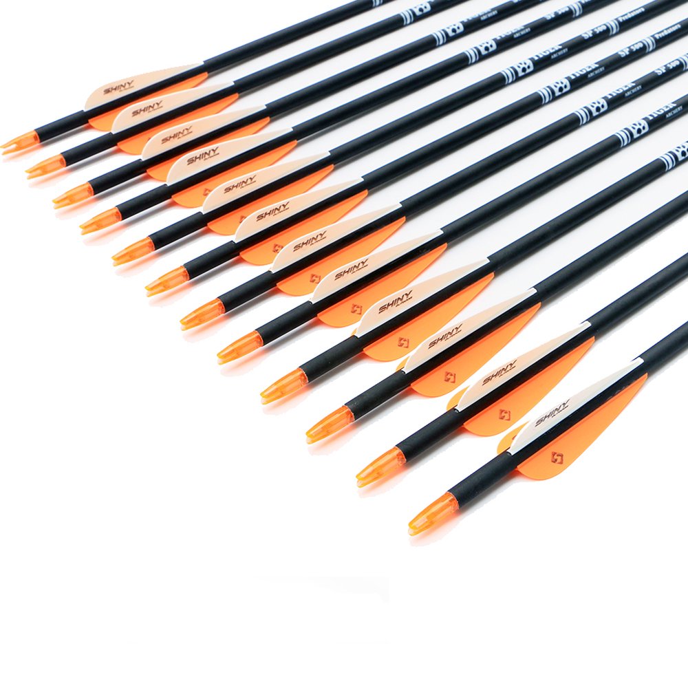 30Inch Carbon Arrow Practice Hunting Arrows with Removable Tips for Compound & Recurve Bow(Pack of 12)