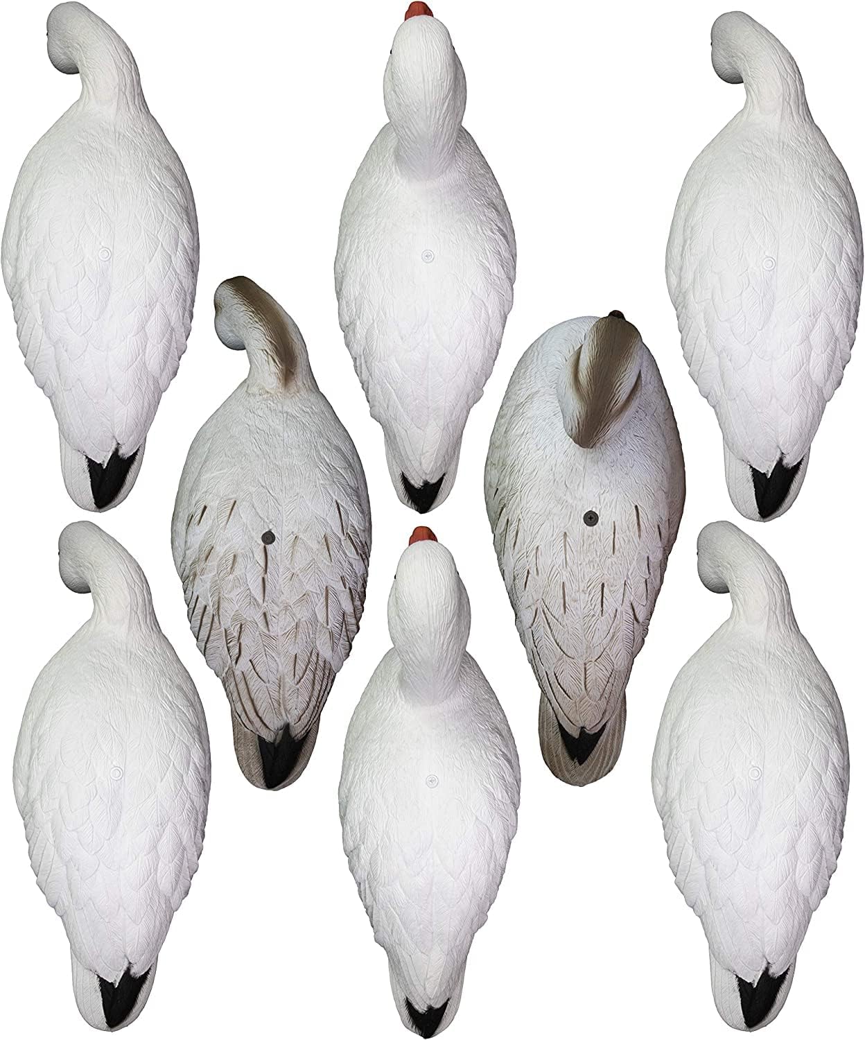 Higdon Outdoors APEX Full-Size Full-Body Variety Pack | Snow/Juvenile Goose Decoy for Waterfowl Hunting 8pk
