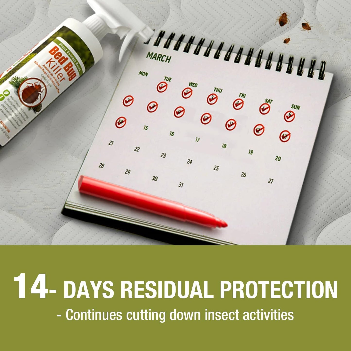 Bed Bug Killer 16 oz EcoVenger by EcoRaider, 100% Kill Efficacy, Bedbugs & Mites, Kills Eggs & The Resistant, Lasting Protection, USDA BIO-Certified, Plant Extract Based & Non-Toxic, Child & Pet Safe