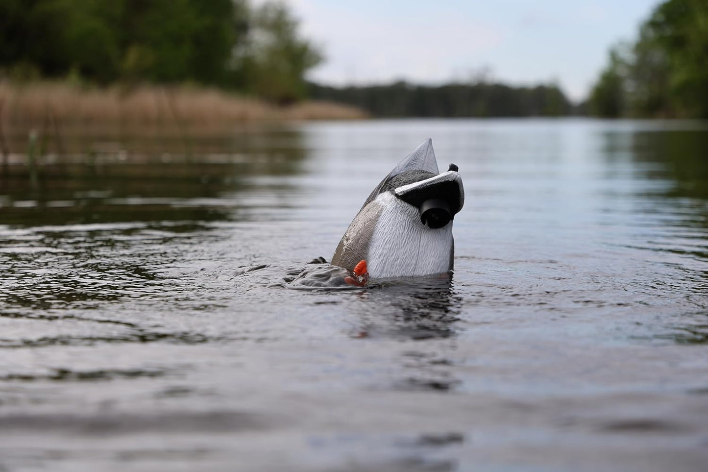 MOJO Outdoors Mallard Machine