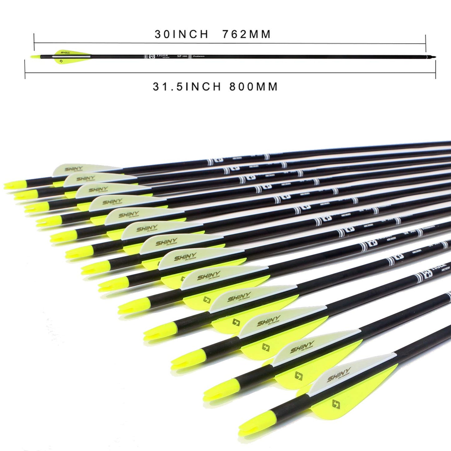 30Inch Carbon Arrow Practice Hunting Arrows with Removable Tips for Compound & Recurve Bow(Pack of 12)
