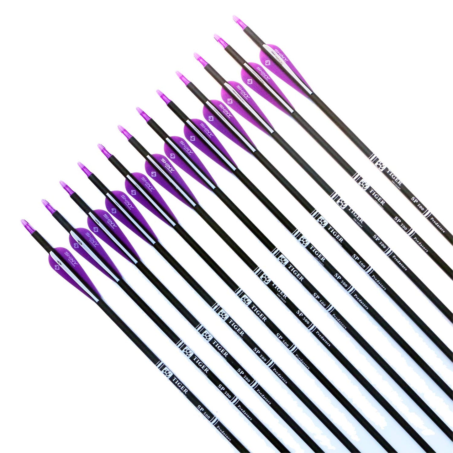 30Inch Carbon Arrow Practice Hunting Arrows with Removable Tips for Compound & Recurve Bow(Pack of 12)