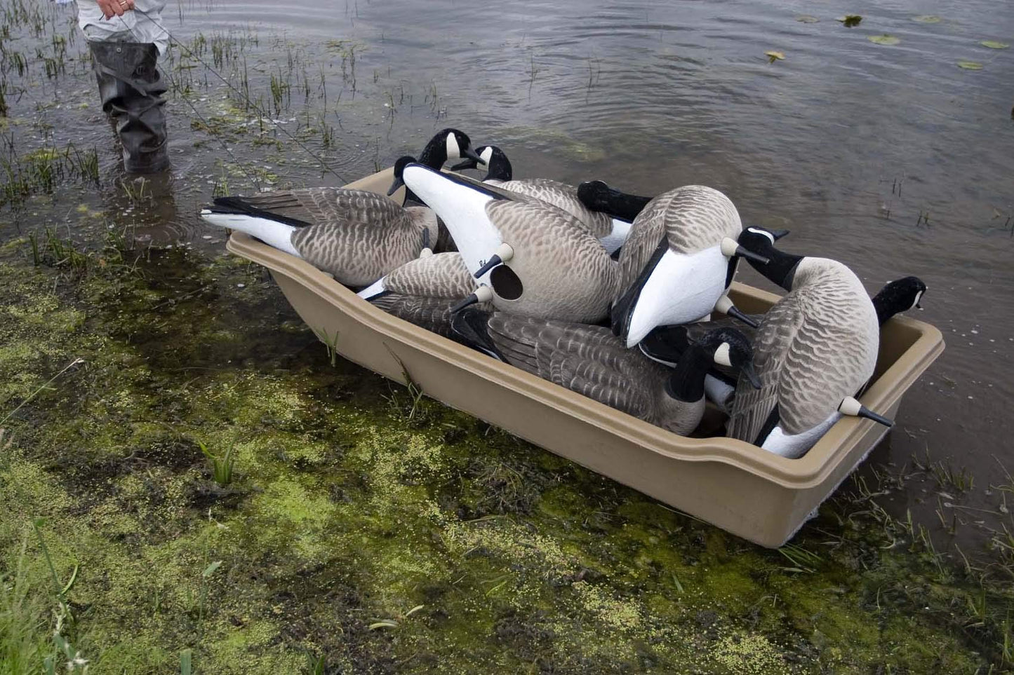 Sport Sled