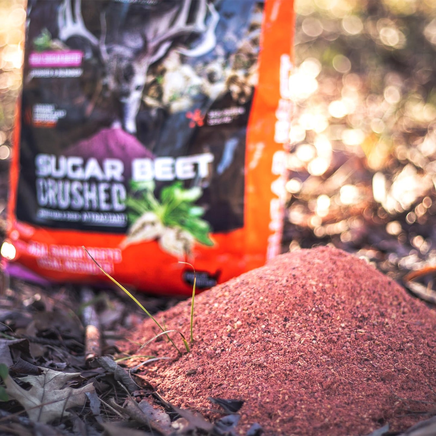 Wildgame Innovations Sugar Beet Crushed Deer Attractant | Effective Ultra-Concentrated Nutrient-Filled Deer Feed with Real Sugar Beets