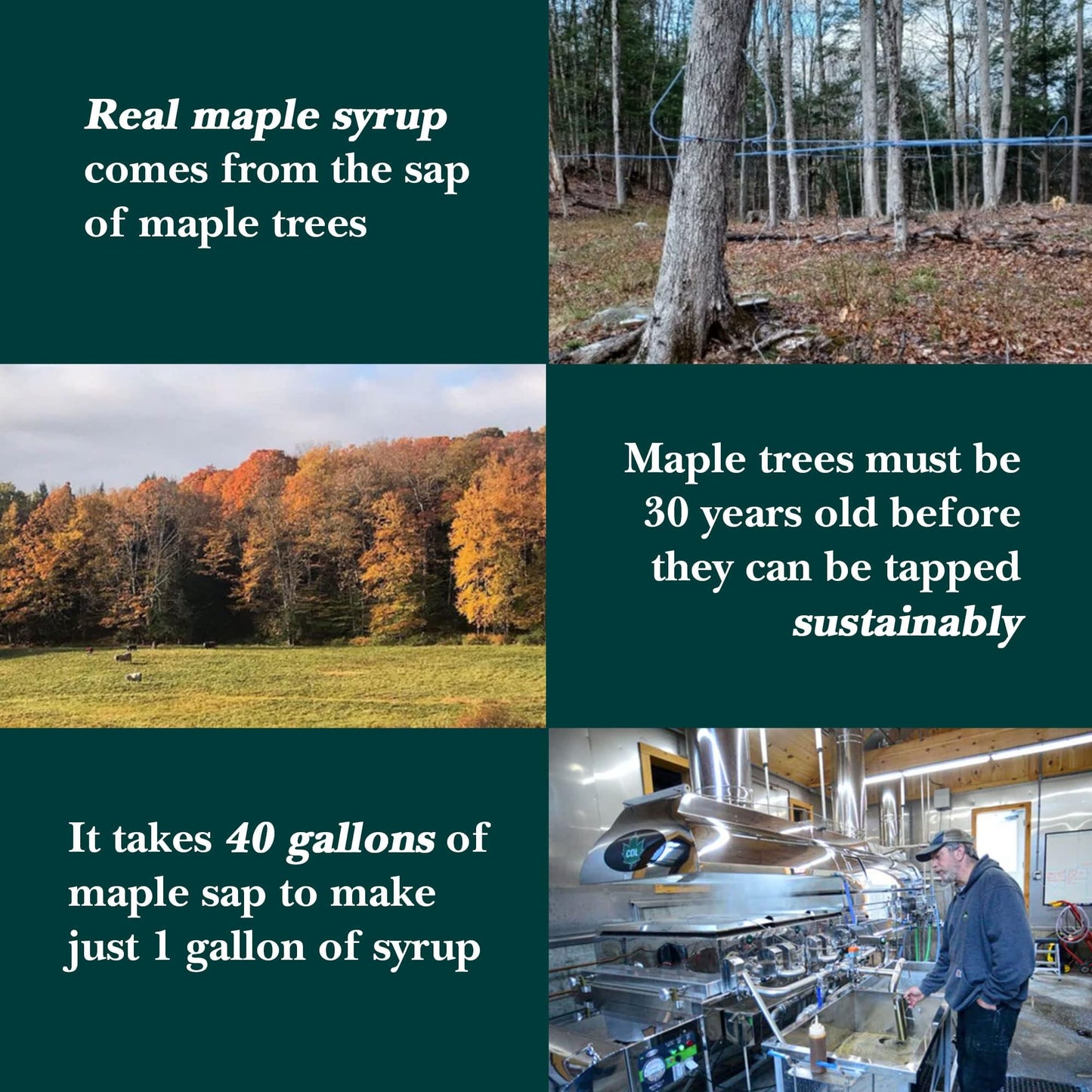 Vermont Maple Syrup - 64 oz Grade A, Golden Delicate Organic Maple Syrup - 100% Pure and Authentic Maple Syrup for Pancakes, Waffles and More - Nut free, Gluten Free, Vegan, Paleo