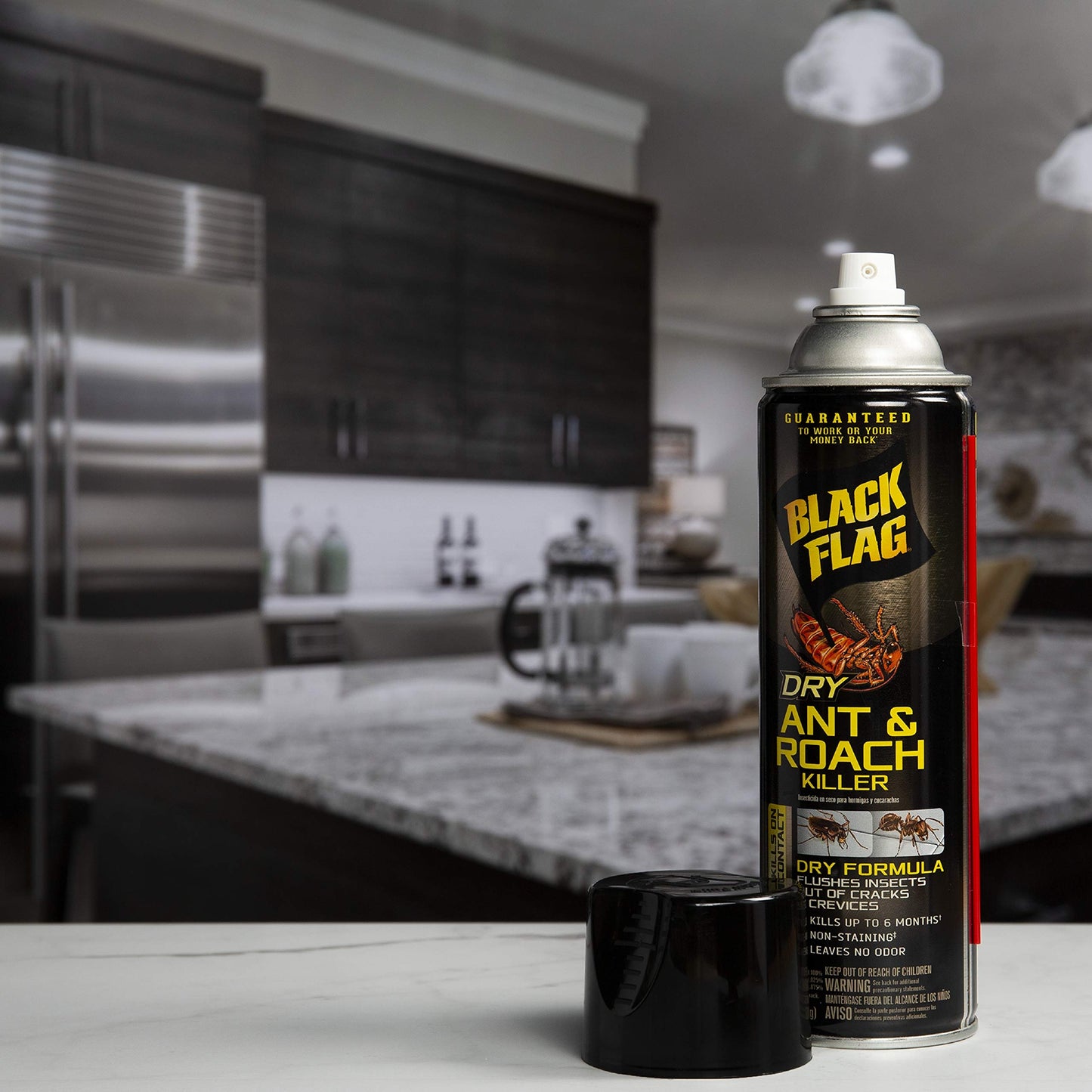Black Flag Extreme Flea Killer Plus Growth Regulator RTU for Insects, 1-gal, 128 Oz