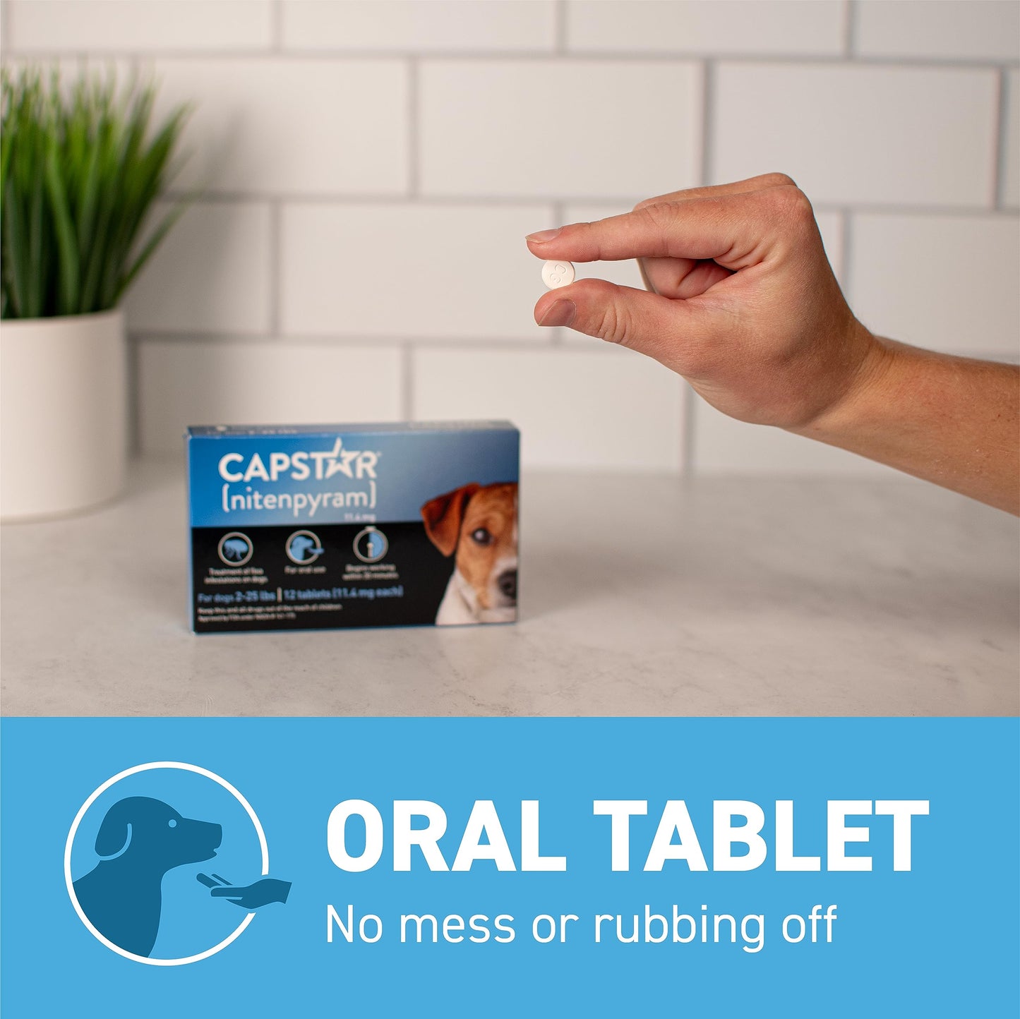CAPSTAR Oral Flea Treatment for Dogs, Fast Acting Tablets Start Killing Fleas in 30 Minutes, Medium & Large Dogs (Over 25 lbs), 6 Doses