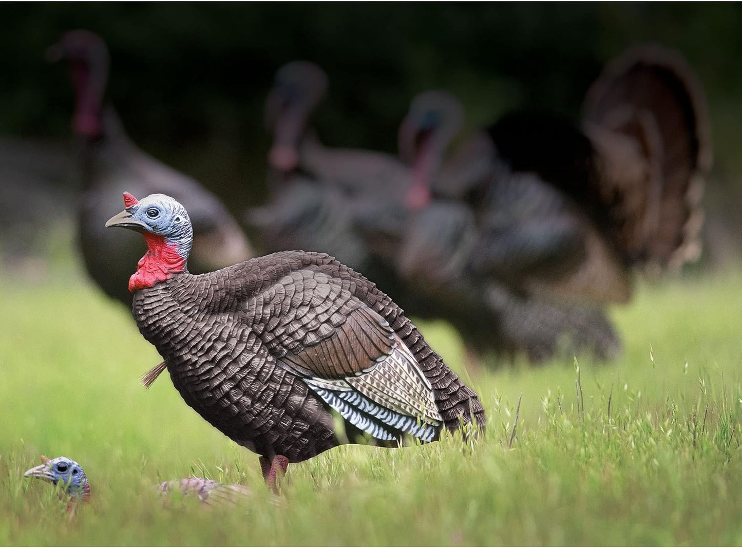 Higdon Outdoors Jake & Jill 1/4 Strut Jake and Laydown Hen Full Body Turkey Decoy Combo with Carry Bag