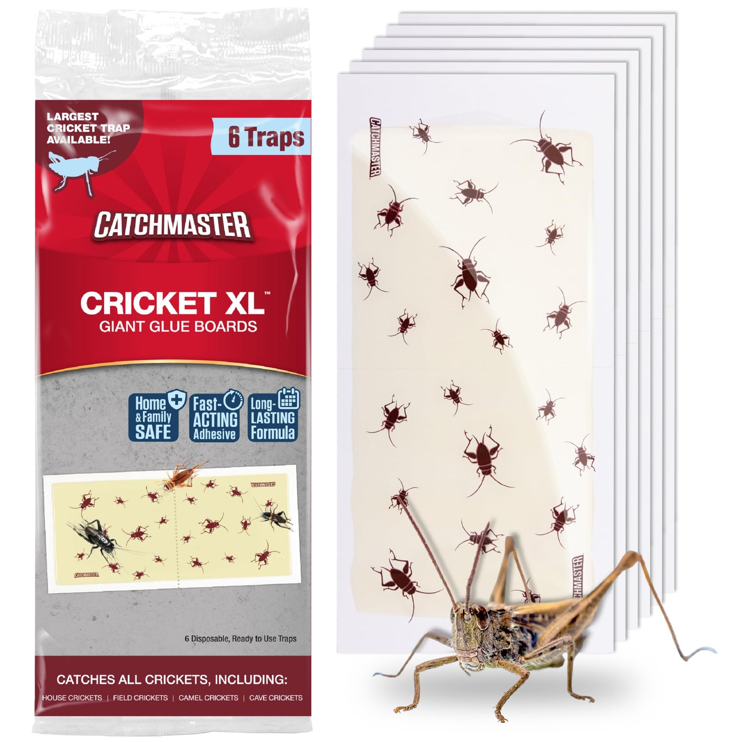 Catchmaster Cricket XL Giant Glue Boards 6-Pk, Adhesive Bug Catcher Cricket Traps Indoor, Sticky Trap for Inside Your Home, Bulk Insect Killer, Insect Traps for House & Garage, Pet Safe Pest Control