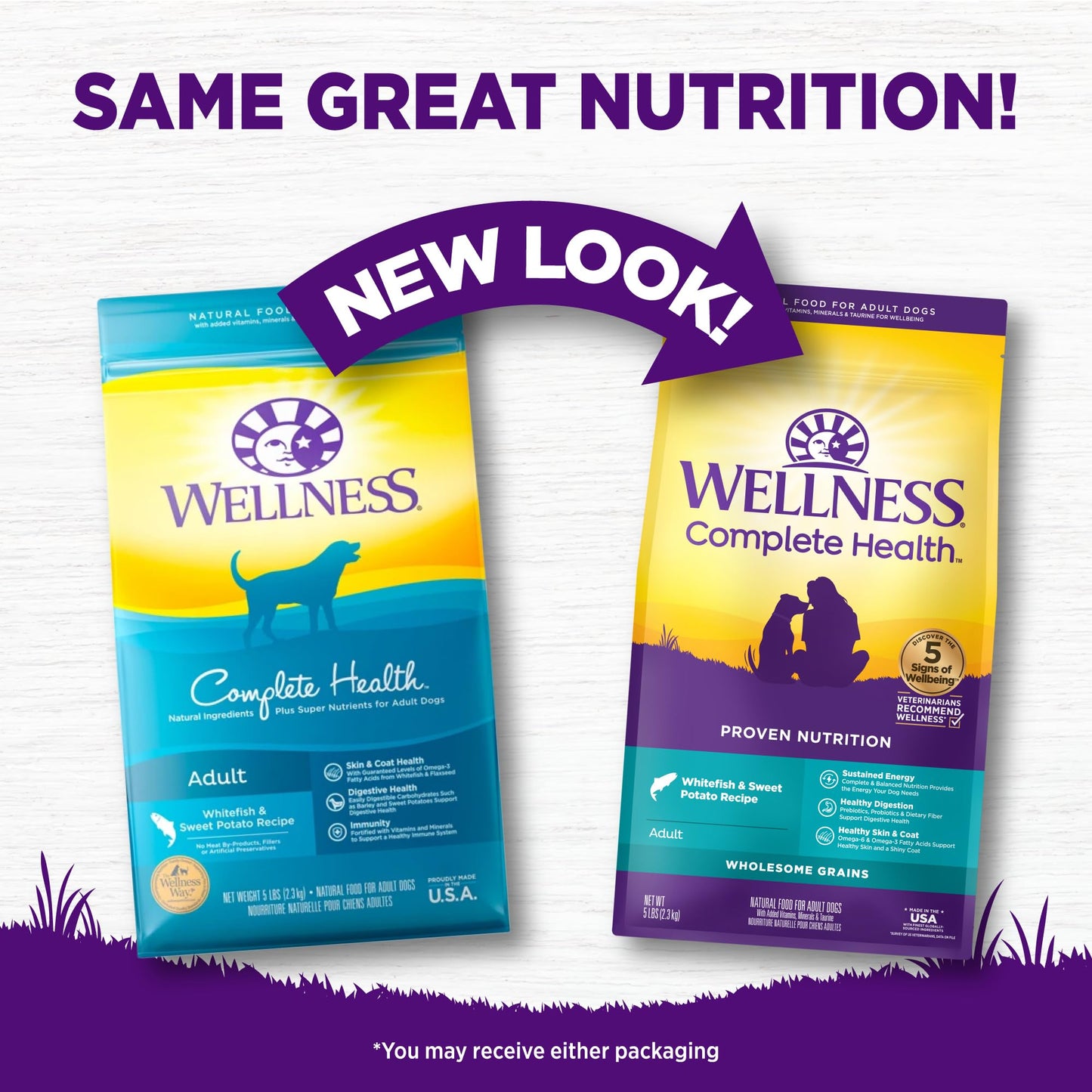Wellness Complete Health Dry Dog Food, Wholesome Grains, Natural, Lamb & Barley Recipe, (30-Pound Bag)