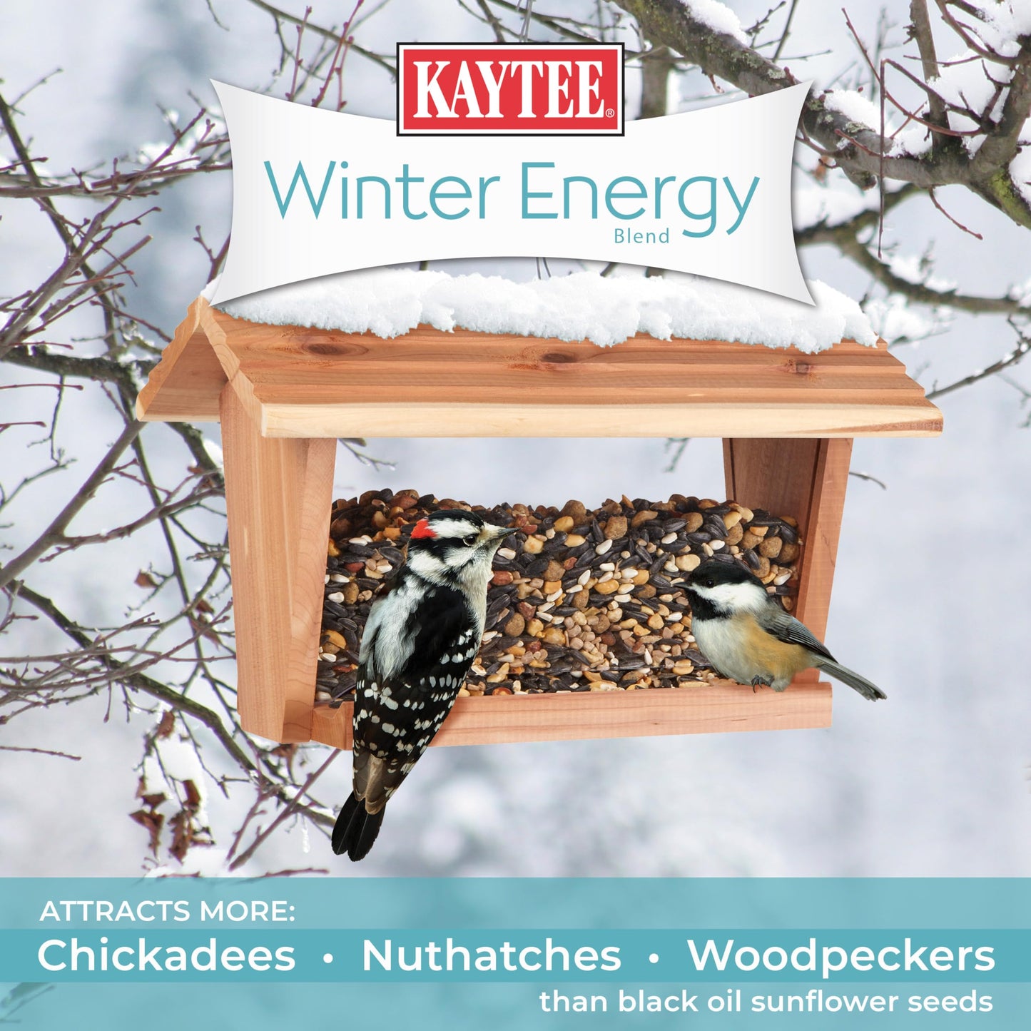 Kaytee Wild Bird Food, Summer Nesting Seed Blend, 8 lb