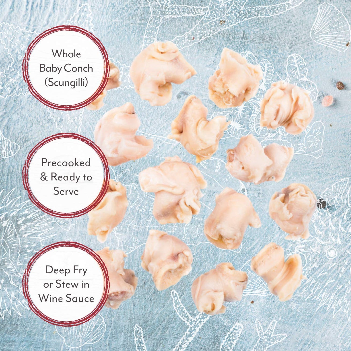 Roland Foods Whole Baby Conch in Water, Specialty Imported Food, 15-Ounce Can