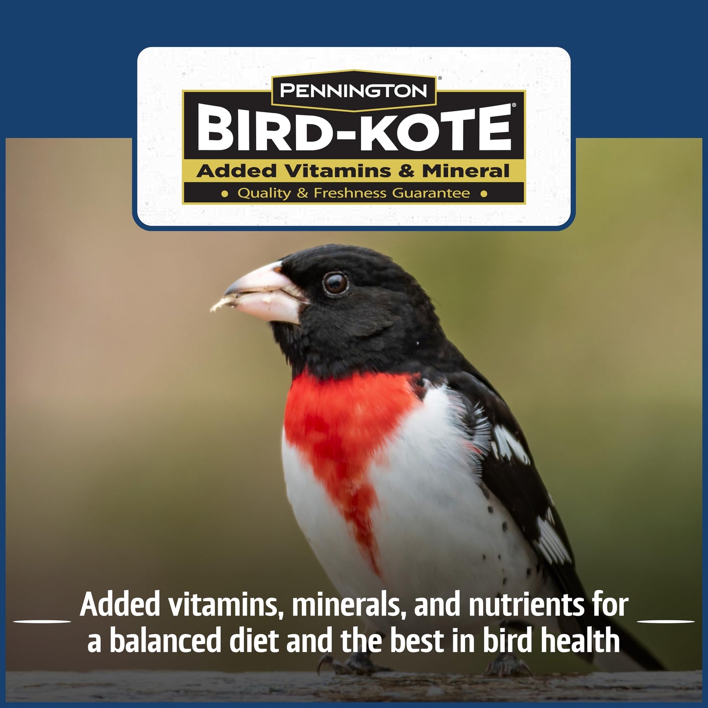 Pennington Pride Songbird Nut & Fruit Blend, Wild Bird Seed for Outside Feeders, Advanced Nutrition Formula for Bird Health, 10-lb. Bag