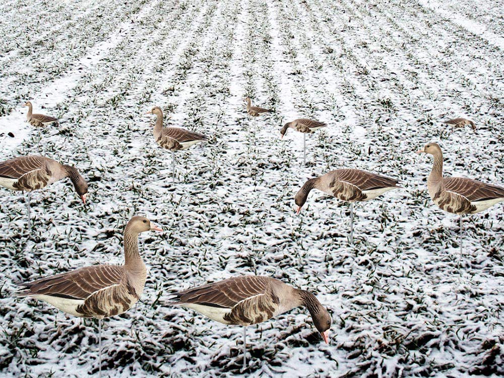 TCDesignerProducts, Silhouette Decoys, Hunting Decoys