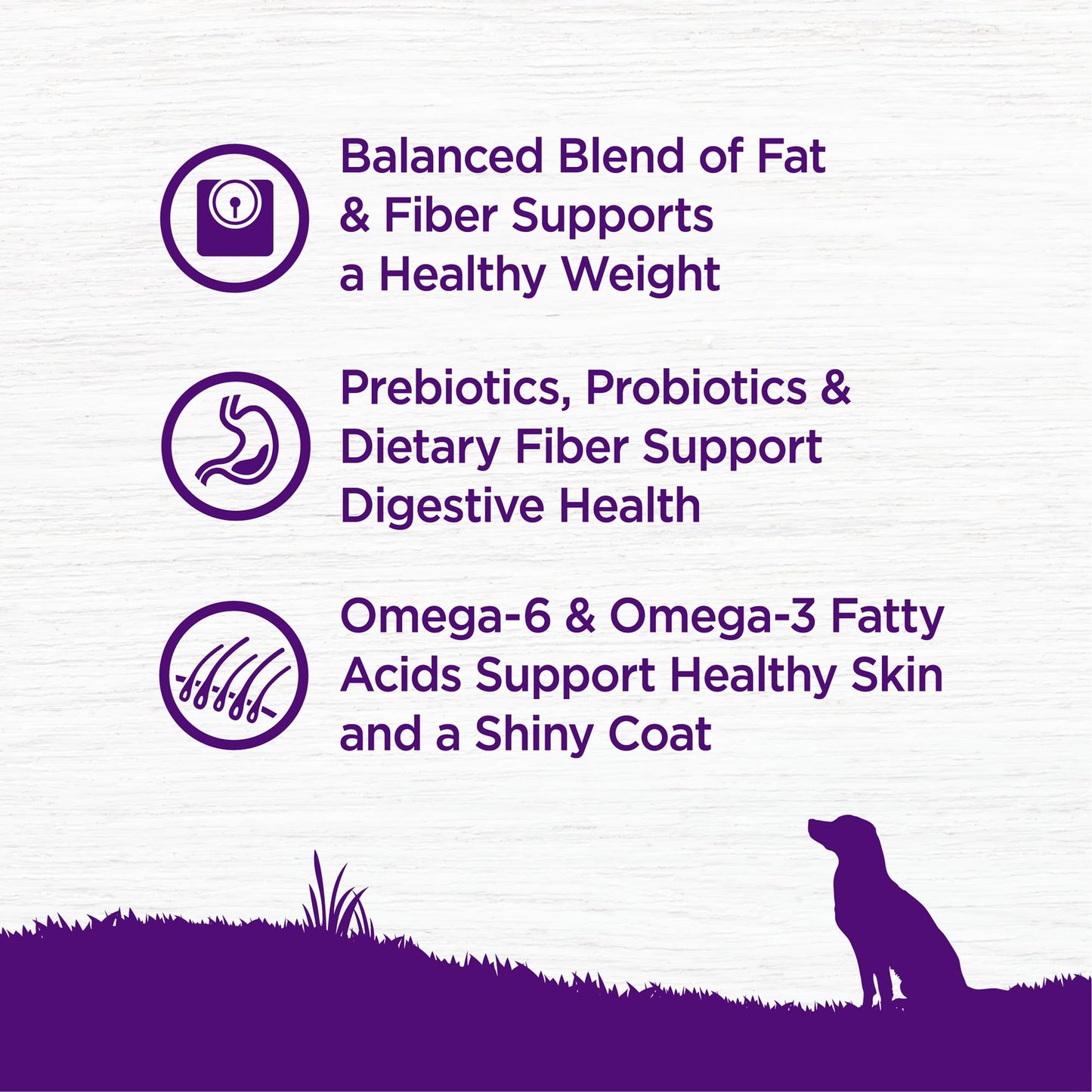 Wellness Complete Health Dry Dog Food, Wholesome Grains, Natural, Lamb & Barley Recipe, (30-Pound Bag)