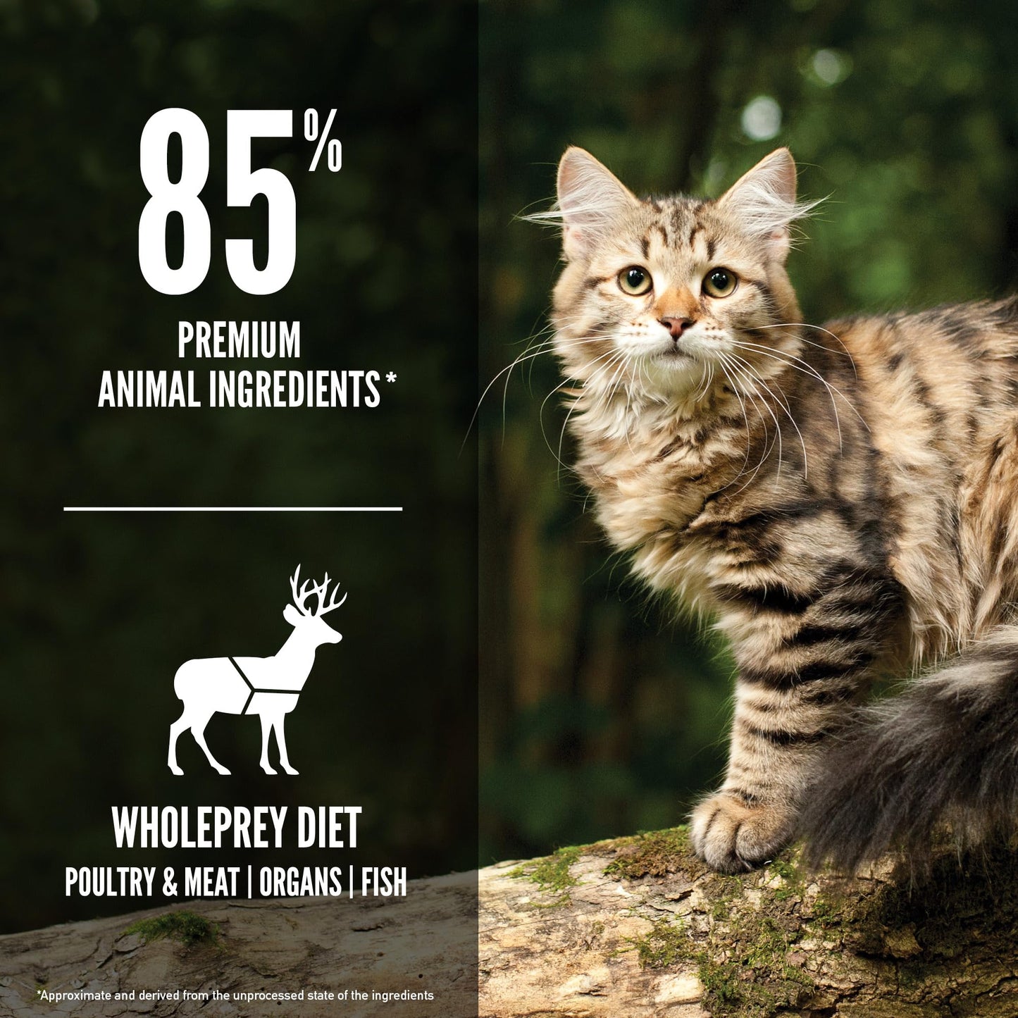 ORIJEN Grain Free High Protein Premium Dry Cat Food Original Recipe, 4lb Bag