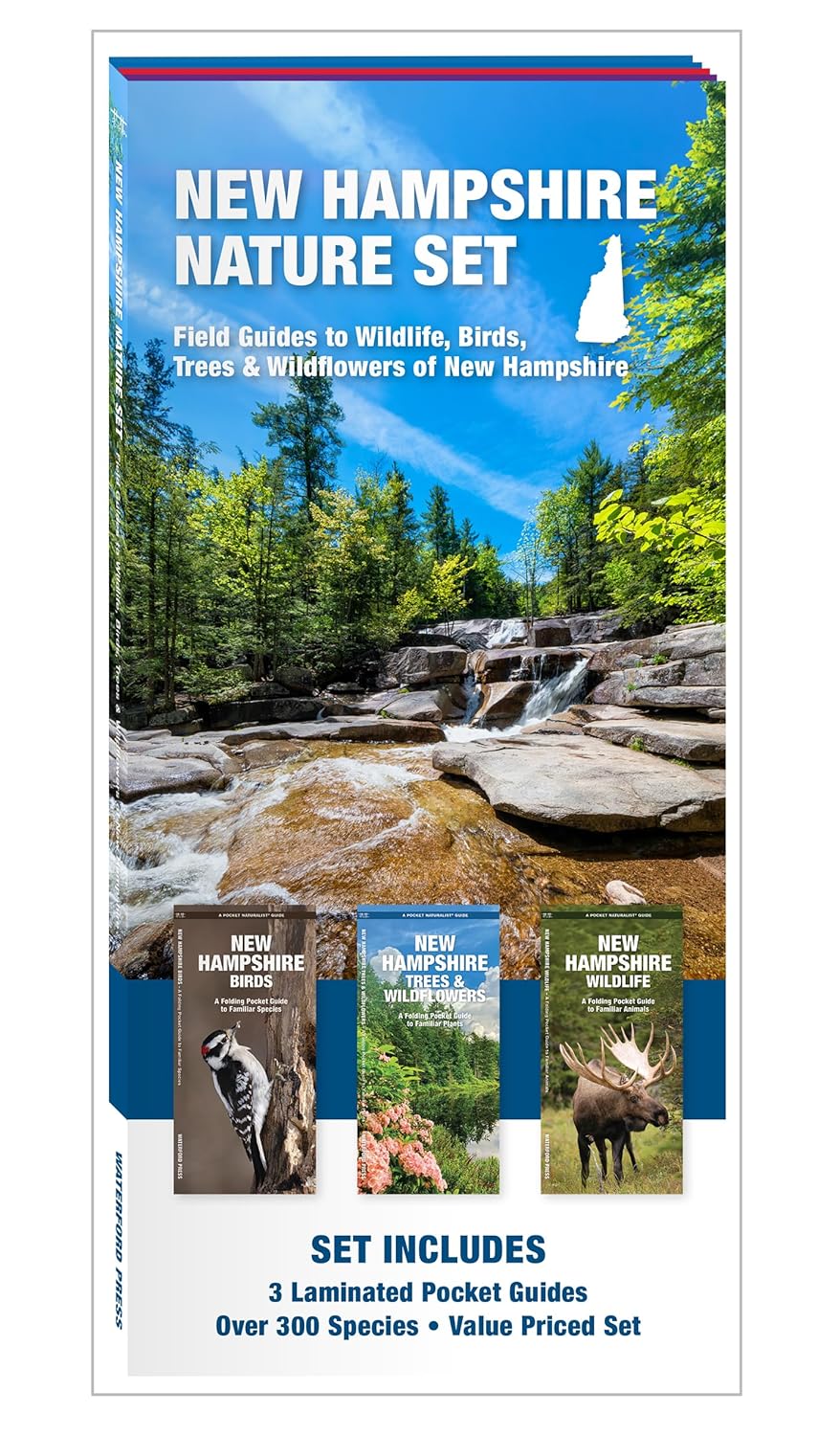 New Hampshire Nature Set: Field Guides to Wildlife, Birds, Trees & Wildflowers of New Hampshire (Nature Observation North America)
