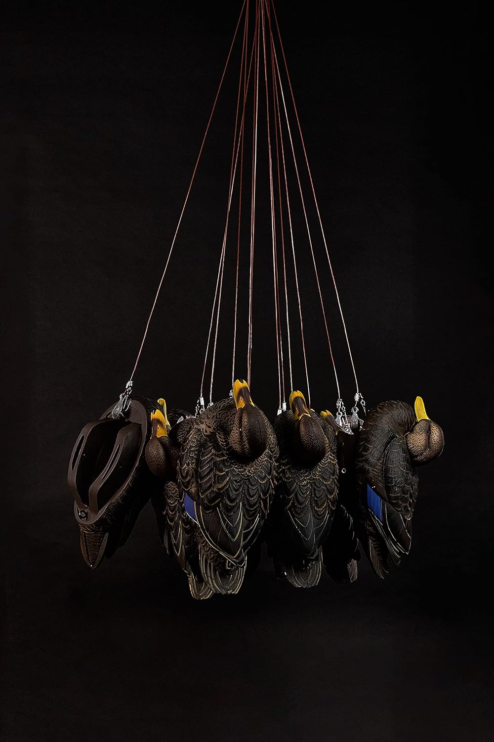 Heyday Ultralight HydroFoam Black Duck Decoys 100% HydroFoam 6 Pack Ultra Realistic Duck Hunting Decoys - Light as a Feather, Lasts Forever