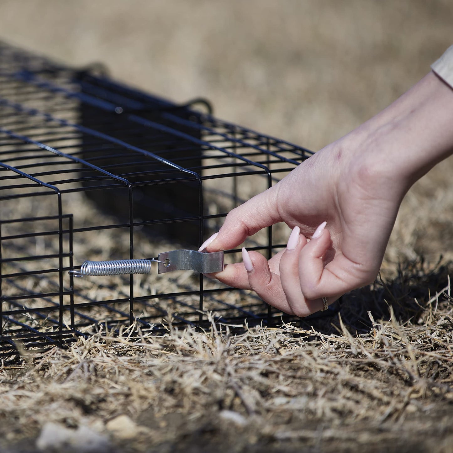 Rugged Ranch Live Chipmunk Trap, Catch & Release Cage, Large, Chipmunkinator