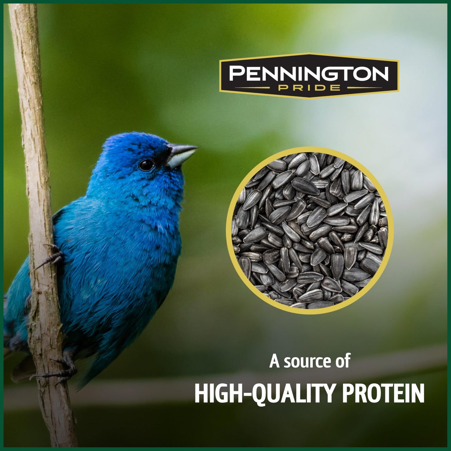 Pennington Pride Songbird Nut & Fruit Blend, Wild Bird Seed for Outside Feeders, Advanced Nutrition Formula for Bird Health, 10-lb. Bag
